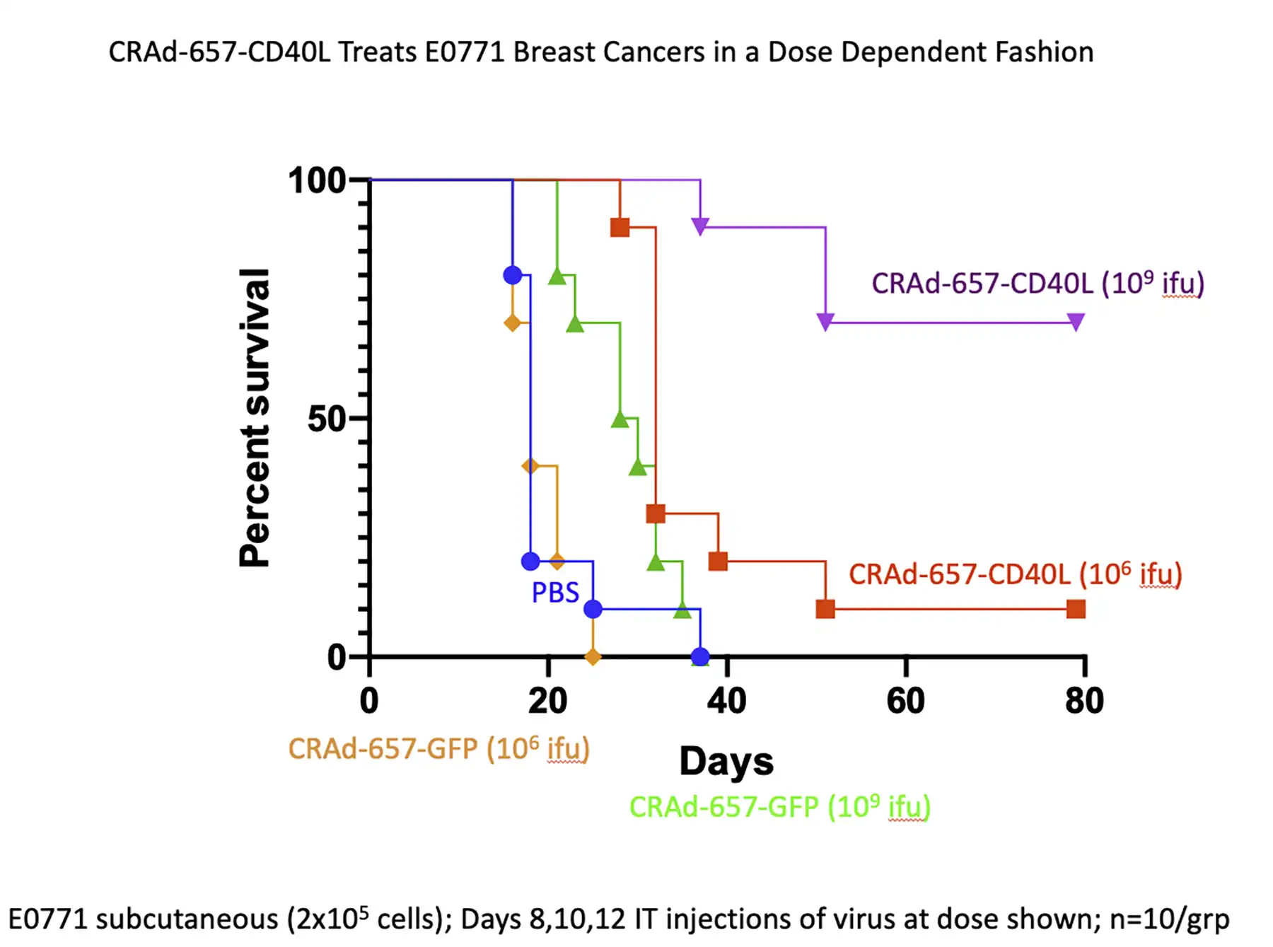 Triple Negative Breast Cancer